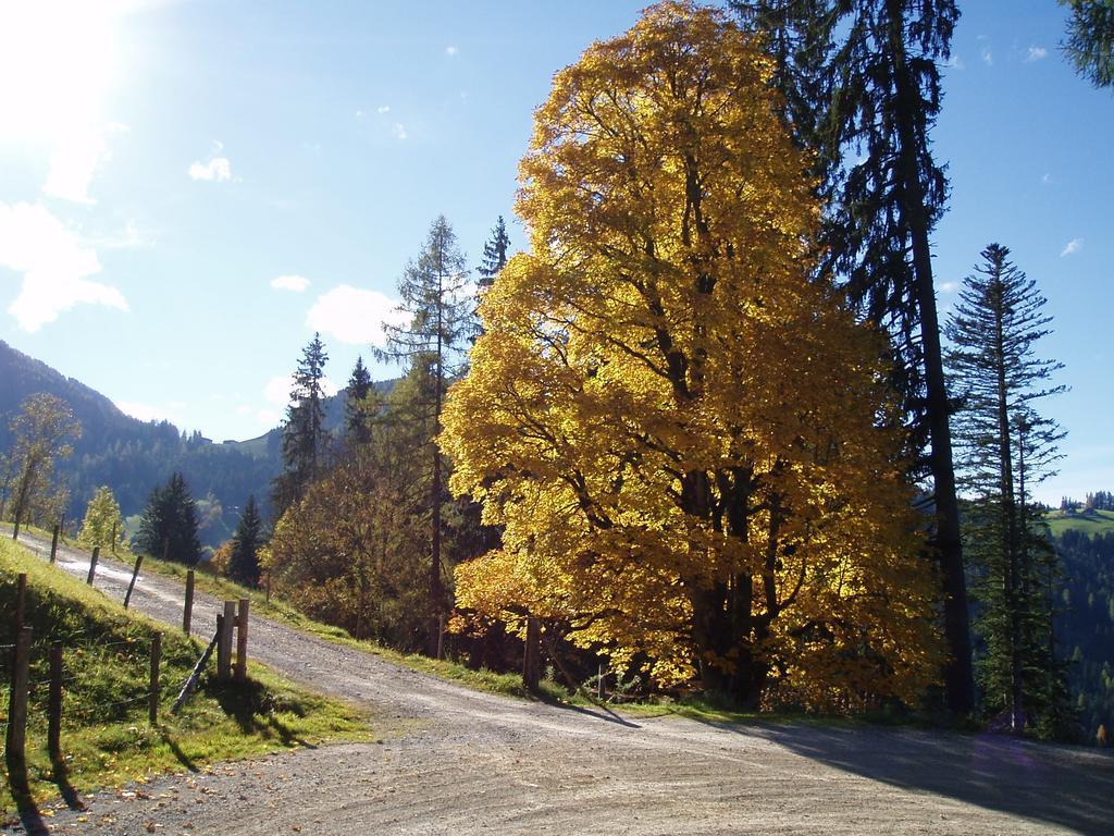 Hacklbauer Daire Altenmarkt im Pongau Dış mekan fotoğraf